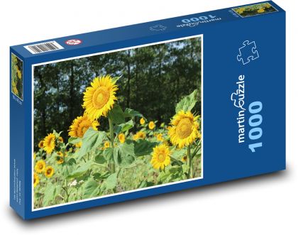 Sonnenblume - gelbe Blume, Frühling - Puzzle - 1000 Teile