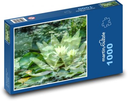 Lekná - vodné rastliny, jazero - Puzzle 1000 dielikov, rozmer 60x46 cm
