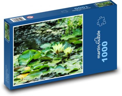 Lilie wodne żółte - rośliny wodne, przyroda - Puzzle 1000 elementów, rozmiar 60x46 cm