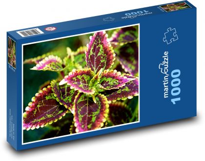 Afrikanische Brennnessel - Kraut, Pflanze - Puzzle - 1000 Teile