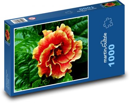 Hibiskus - Orangenblüte, Blume - Puzzle - 1000 Teile
