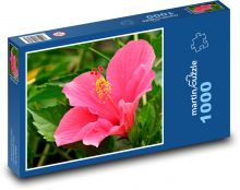 Ibištek - ružový kvet, záhrada Puzzle 1000 dielikov - 60 x 46 cm 