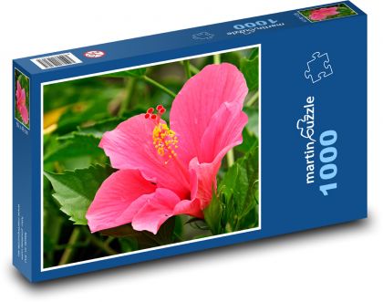 Ibištek - ružový kvet, záhrada - Puzzle 1000 dielikov, rozmer 60x46 cm