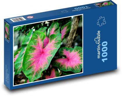 Užovník - rostlina, květina - Puzzle 1000 dílků, rozměr 60x46 cm