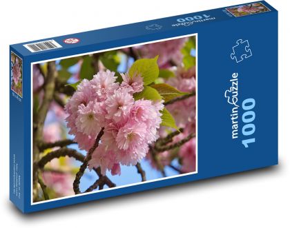 Třešňový květ - jaro, park - Puzzle 1000 dílků, rozměr 60x46 cm