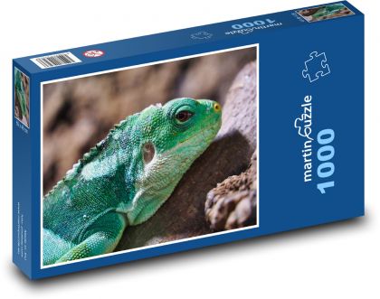Iguana - reptile, lizard - Puzzle 1000 pieces, size 60x46 cm 