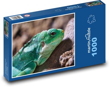 Leguan - Reptil, Eidechse - Puzzle - 1000 Teile