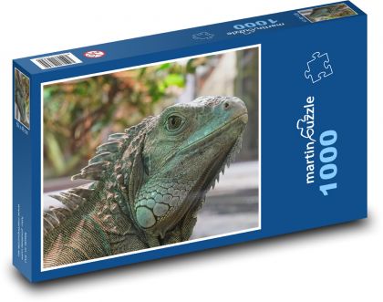 Zelený leguán - ještěrka, plaz - Puzzle 1000 dílků, rozměr 60x46 cm