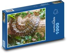 Had - plaz, zvíře Puzzle 1000 - 60x46 cm
