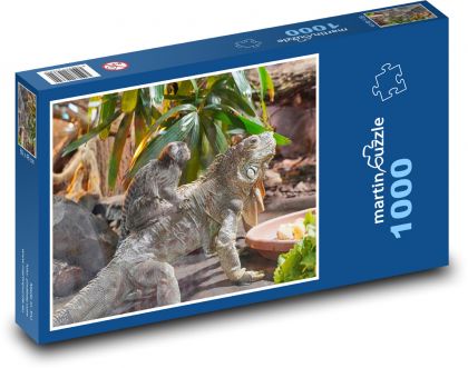 Małpa - iguana, gad - Puzzle 1000 elementów, rozmiar 60x46 cm