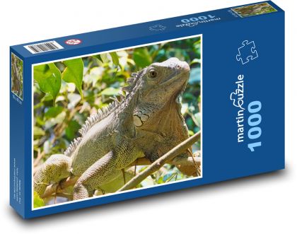 Leguán - terárium, plaz - Puzzle 1000 dielikov, rozmer 60x46 cm