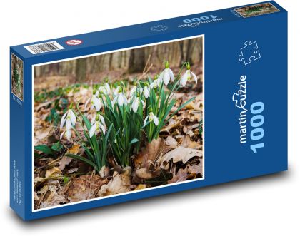 Snežienky - les, jar - Puzzle 1000 dielikov, rozmer 60x46 cm