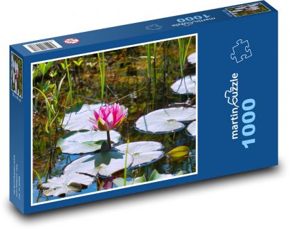 Leknín - rybník, vodní květ - Puzzle 1000 dílků, rozměr 60x46 cm