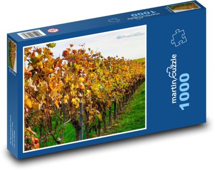 Vínna réva, jeseň, príroda - Puzzle 1000 dielikov, rozmer 60x46 cm