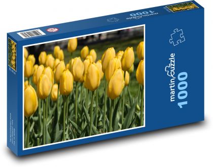 Žlté tulipány - jarné kvety, záhrada - Puzzle 1000 dielikov, rozmer 60x46 cm