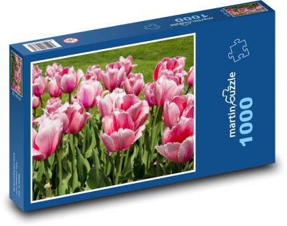 Ružové kvety - tulipány, záhrada - Puzzle 1000 dielikov, rozmer 60x46 cm