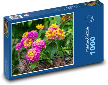 Flowers - Garden, Spring - Puzzle 1000 pieces, size 60x46 cm 