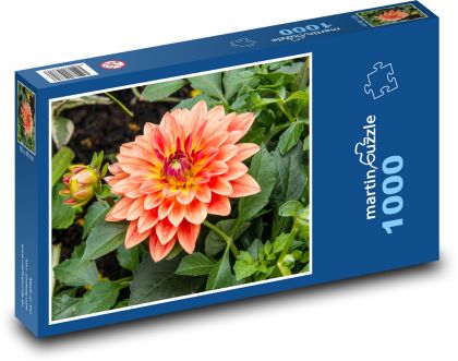 Jiřina - oranžový kvet, záhrada - Puzzle 1000 dielikov, rozmer 60x46 cm