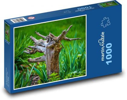 Korene - strom, lúka - Puzzle 1000 dielikov, rozmer 60x46 cm