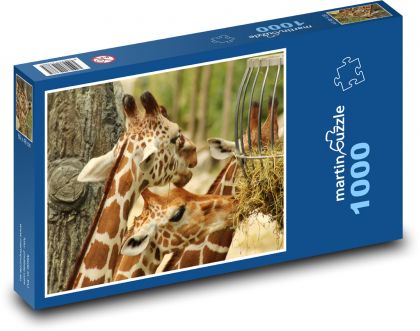 Žirafa - zoo, Afrika - Puzzle 1000 dielikov, rozmer 60x46 cm