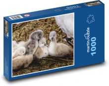 Labutě - mláďata, zvíře Puzzle 1000 dílků - 60 x 46 cm