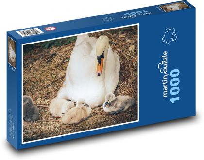 Labuť - mládě, pták - Puzzle 1000 dílků, rozměr 60x46 cm