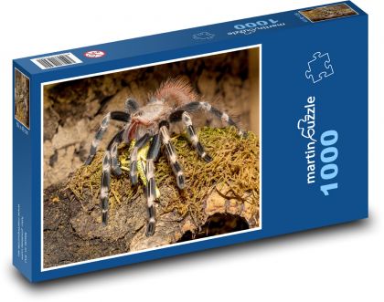 Tarantel - Vogelspinne, Spinne - Puzzle - 1000 Teile