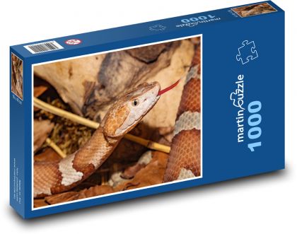 Snake - animal, reptile - Puzzle 1000 pieces, size 60x46 cm 