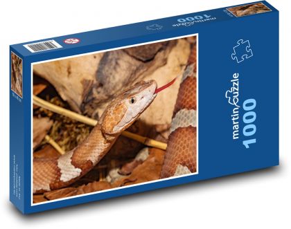 Had - zviera, plaz - Puzzle 1000 dielikov, rozmer 60x46 cm
