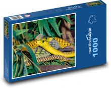 Mamba - wąż, zwierzę Puzzle 1000 elementów - 60x46 cm