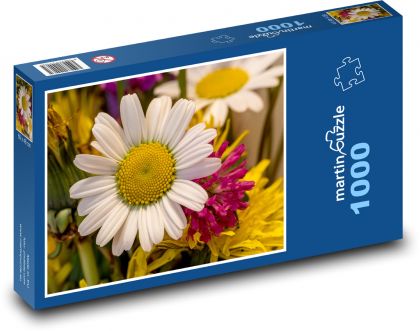 Kopretina - bílý květ, zahrada  - puzzle 1000 dílků