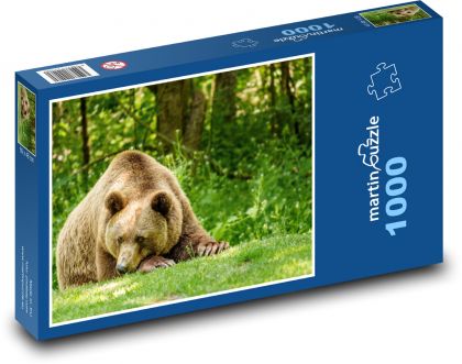 Bear - forest. animal - Puzzle 1000 pieces, size 60x46 cm 