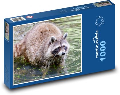 Waschbär - Bär, Wasser - Puzzle - 1000 Teile