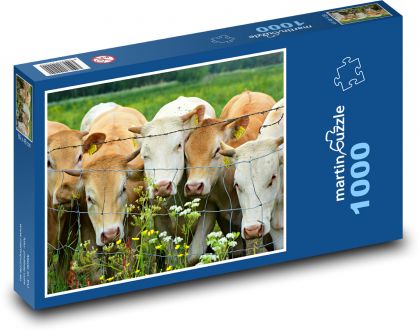 Krowa - bydło, zwierzę - Puzzle 1000 elementów, rozmiar 60x46 cm