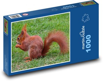 Wiewiórka - zwierzę, gryzoń - Puzzle 1000 elementów, rozmiar 60x46 cm