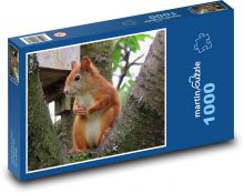 Wiewiórka - las, przyroda Puzzle 1000 elementów - 60x46 cm