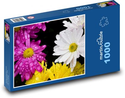 Sedmokrásky - okvetné liesky, záhrada - Puzzle 1000 dielikov, rozmer 60x46 cm