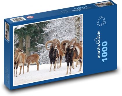 Muflon - zima, zvíře - Puzzle 1000 dílků, rozměr 60x46 cm