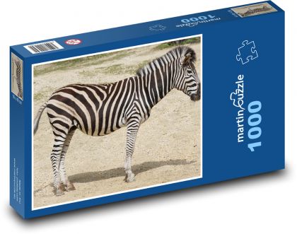Zebra - Tier, Afrika - Puzzle - 1000 Teile