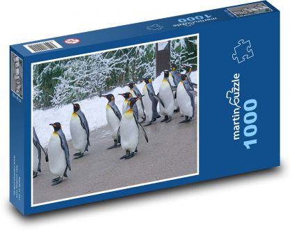 Pinguin - Zoo, Tiere - Puzzle - 1000 Teile