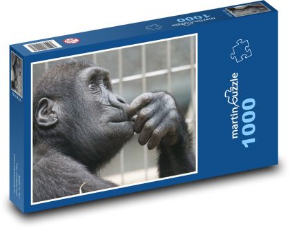 Małpy - zoo, prymas - Puzzle 1000 elementów, rozmiar 60x46 cm