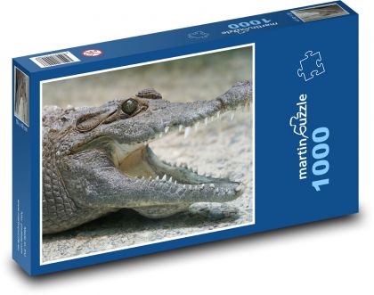 Krokodyl - gad, zwierzę - Puzzle 1000 elementów, rozmiar 60x46 cm