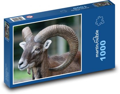 Muflón - cicavec, baran - Puzzle 1000 dielikov, rozmer 60x46 cm