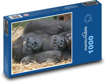 Gorila - savec, opice  - Puzzle 1000 dílků, rozměr 60x46 cm