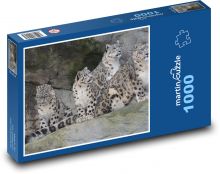 Levhart - mačky, zviera Puzzle 1000 dielikov - 60 x 46 cm 