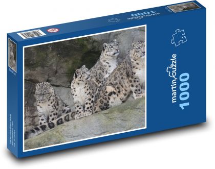 Levhart - kočky, zvíře - Puzzle 1000 dílků, rozměr 60x46 cm