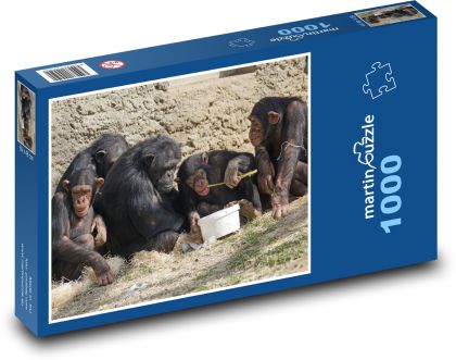 Šimpanz - opice, zvieratá - Puzzle 1000 dielikov, rozmer 60x46 cm