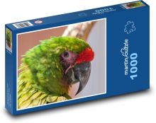 Ara - parrot, bird Puzzle 1000 pieces - 60 x 46 cm 