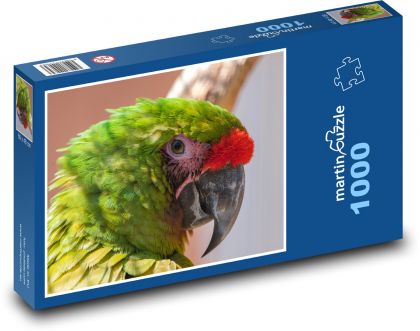 Ara - papagáj, vták - Puzzle 1000 dielikov, rozmer 60x46 cm