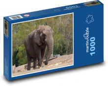 Slon - Afrika, savec Puzzle 1000 dílků - 60 x 46 cm